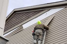 Best Custom Siding Design  in Kilauea, HI